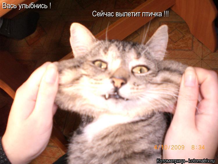 Котоматрица: Вась улыбнись !  Сейчас вылетит птичка !!!