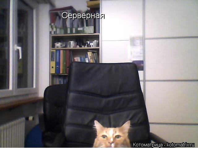 Котоматрица: Серверная