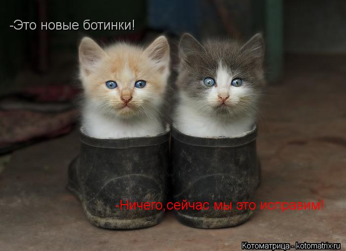 Котоматрица: -Это новые ботинки! -Ничего,сейчас мы это исправим!