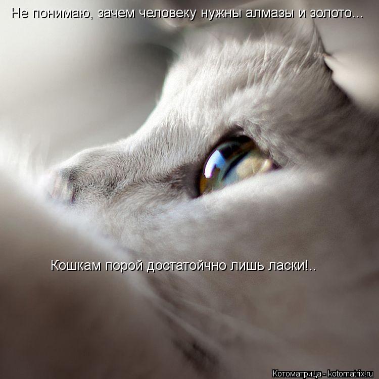 Котоматрица: Не понимаю, зачем человеку нужны алмазы и золото... Кошкам порой достатойчно лишь ласки!..