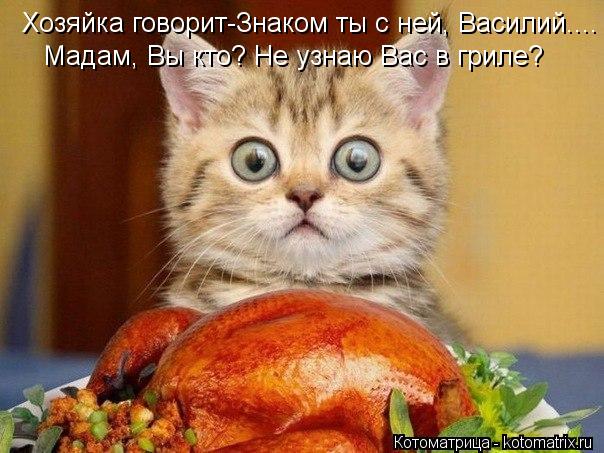 Котоматрица: Хозяйка говорит-Знаком ты с ней, Василий.... Мадам, Вы кто? Не узнаю Вас в гриле?