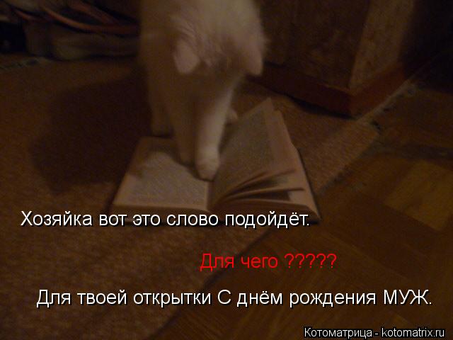 Хозяйка вот это слово подойдёт. Для чего ????? Для твоей открытки С днём рождения МУЖ.... Котоматрица: Хозяйка вот это слово подойдёт. Для чего ????? Для твоей открытки С днём рождения МУЖ.
