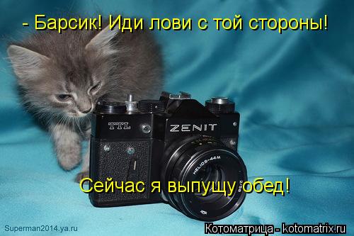 Котоматрица: - Барсик! Иди лови с той стороны!  Сейчас я выпущу обед!