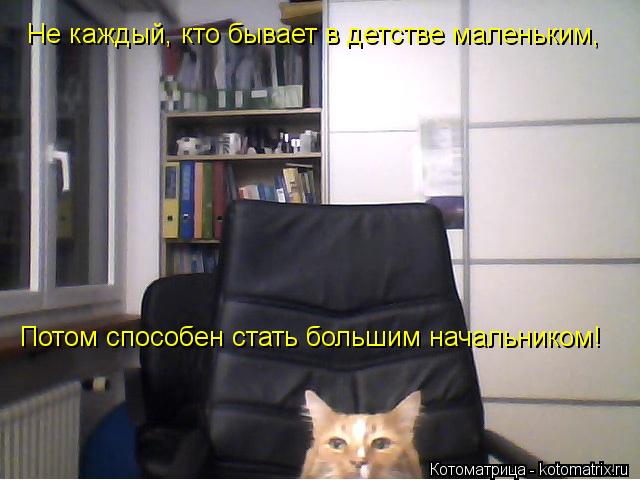 Котоматрица: Не каждый, кто бывает в детстве маленьким, Потом способен стать большим начальником!