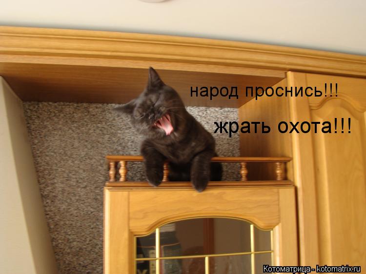 Котоматрица: народ проснись!!! жрать охота!!!