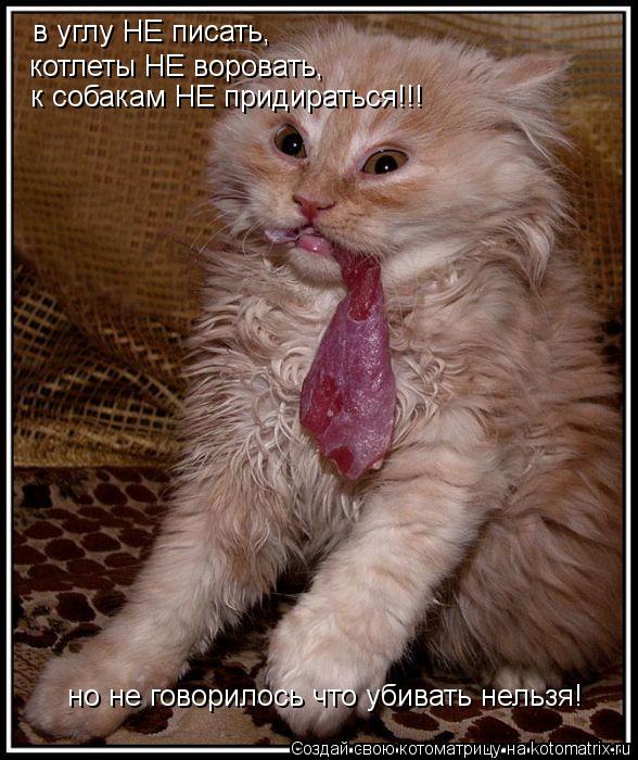 в углу НЕ писать, котлеты НЕ воровать, к собакам НЕ придираться!!! но не говорилось что убивать нельз... Котоматрица: в углу НЕ писать, котлеты НЕ воровать, к собакам НЕ придираться!!! но не говорилось что убивать нельзя!