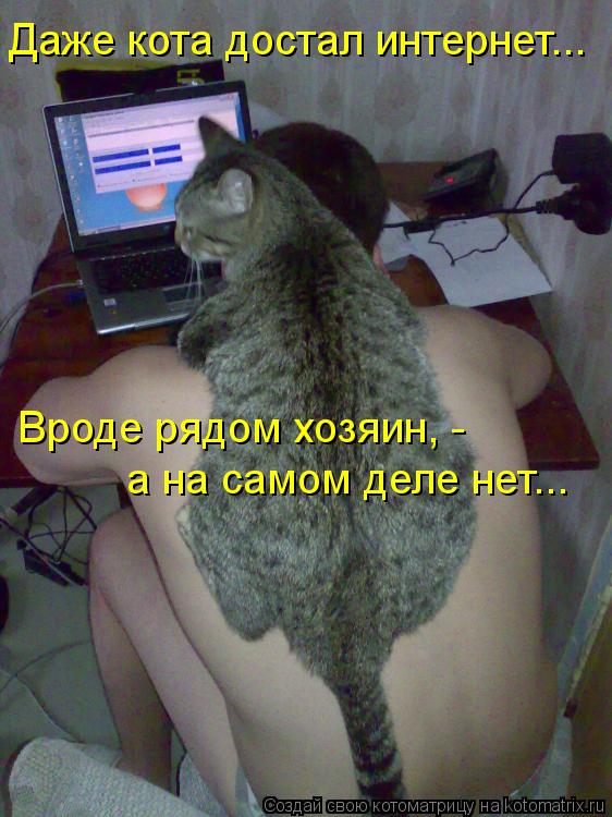 Даже кота достал интернет... Вроде рядом хозяин, - а на самом деле нет...... Котоматрица: Даже кота достал интернет... Вроде рядом хозяин, - а на самом деле нет...