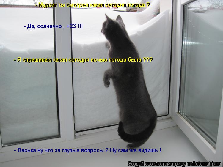 Котоматрица: - Мурзик ты смотрел какая сегодня погода ? - Да, солнечно , +23 !!! - Я спрашиваю какая сегодня ночью погода была ??? - Васька ну что за глупые вопрос