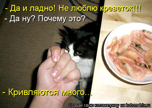 Котоматрица: - Да и ладно! Не люблю креветок!!! - Кривляются много... - Да ну? Почему это?