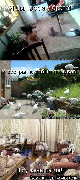 Котоматрица: Я был дома у брата! У сестры не забыл побывать... Но у жены лутче!