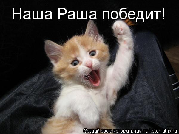 Котоматрица: Наша Раша победит!