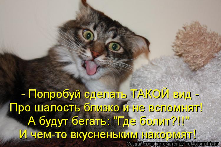 Котоматрица: - Попробуй сделать ТАКОЙ вид -  Про шалость близко и не вспомнят! А будут бегать: "Где болит?!!" И чем-то вкусненьким накормят!