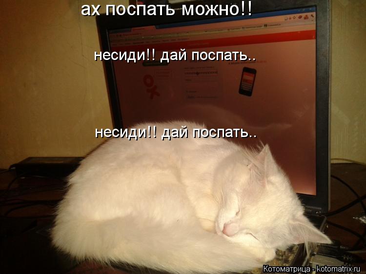 Котоматрица: ах поспать можно!! несиди!! дай поспать.. несиди!! дай поспать..