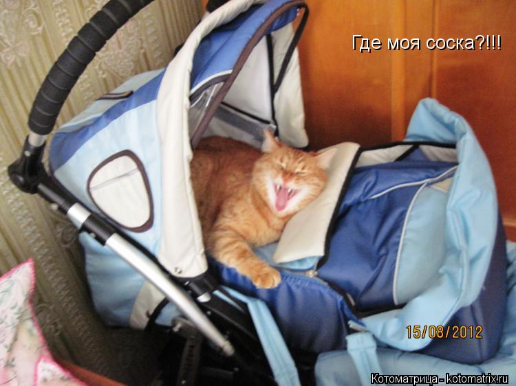 Котоматрица: Где моя соска?!!!