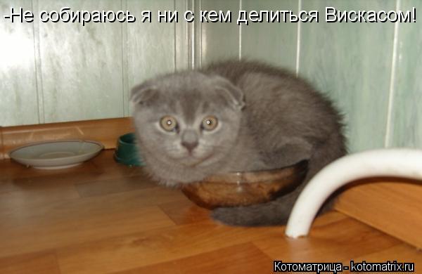 Котоматрица: -Не собираюсь я ни с кем делиться Вискасом!