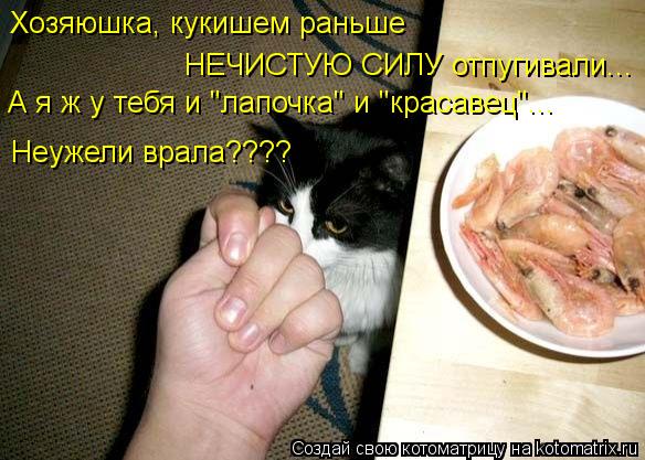 Котоматрица: Хозяюшка, кукишем раньше  НЕЧИСТУЮ СИЛУ отпугивали... A я ж у тебя и "лапочка" и "красавец"... Неужели врала????