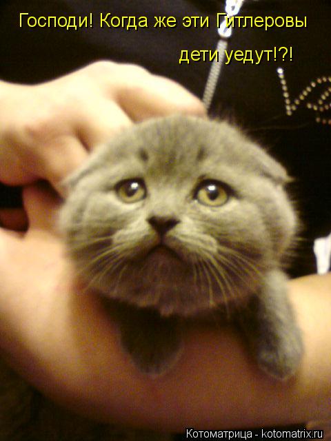 Господи! Когда же эти Гитлеровы дети уедут!?!... Котоматрица: Господи! Когда же эти Гитлеровы дети уедут!?!