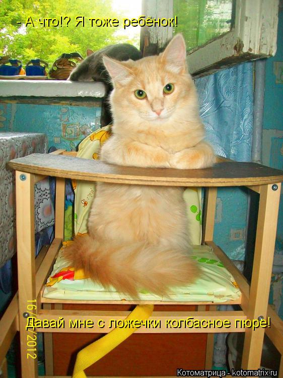 Котоматрица: - А что!? Я тоже ребёнок! Давай мне с ложечки колбасное пюре!
