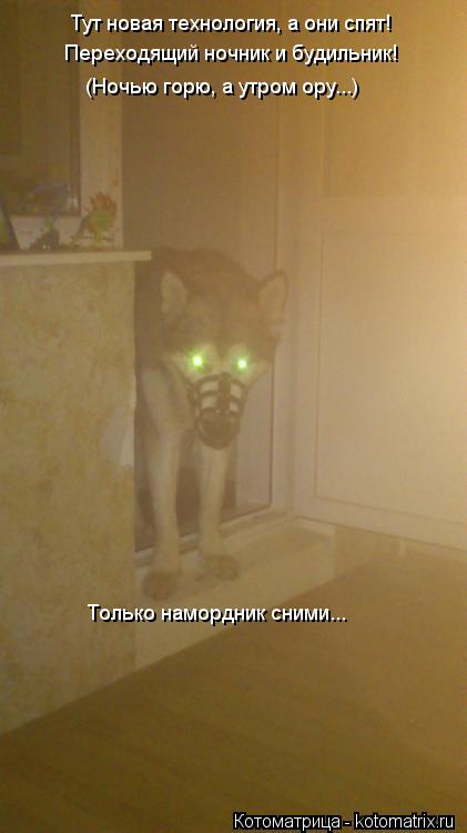 Котоматрица: Тут новая технология, а они спят! Переходящий ночник и будильник! (Ночью горю, а утром ору...) Только намордник сними...