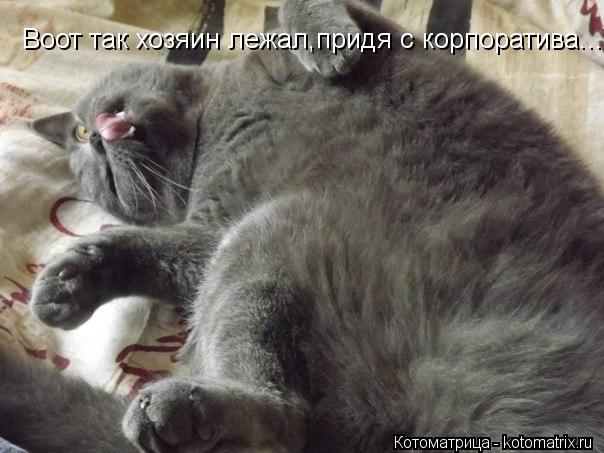 Воот так хозяин лежал,придя с корпоратива...... Котоматрица: Воот так хозяин лежал,придя с корпоратива...