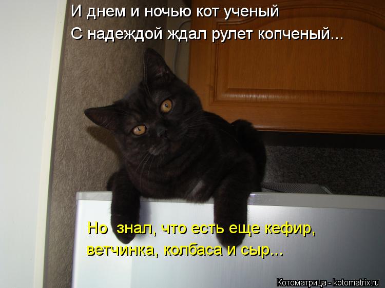 Котоматрица: И днем и ночью кот ученый С надеждой ждал рулет копченый... ветчинка, колбаса и сыр... Но  знал, что есть еще кефир,