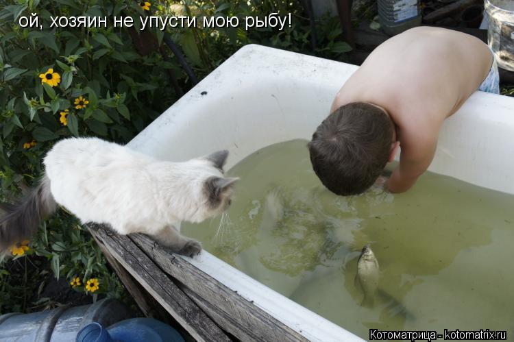 Котоматрица: ой, хозяин не упусти мою рыбу!