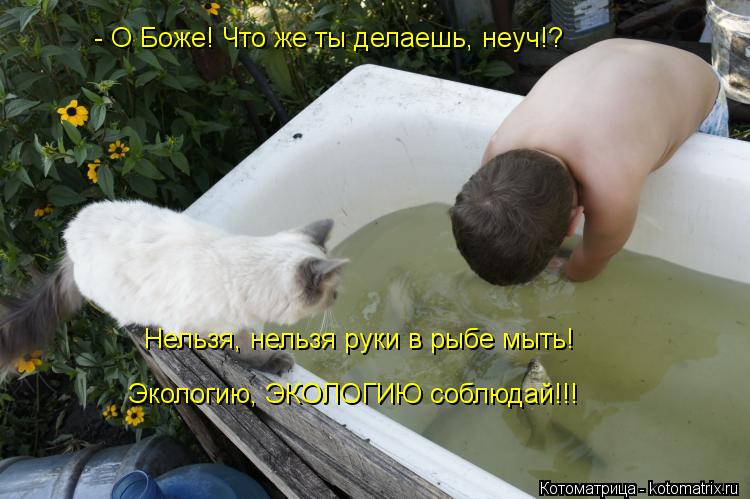 Котоматрица: - О Боже! Что же ты делаешь, неуч!? Нельзя, нельзя руки в рыбе мыть! Экологию, ЭКОЛОГИЮ соблюдай!!!