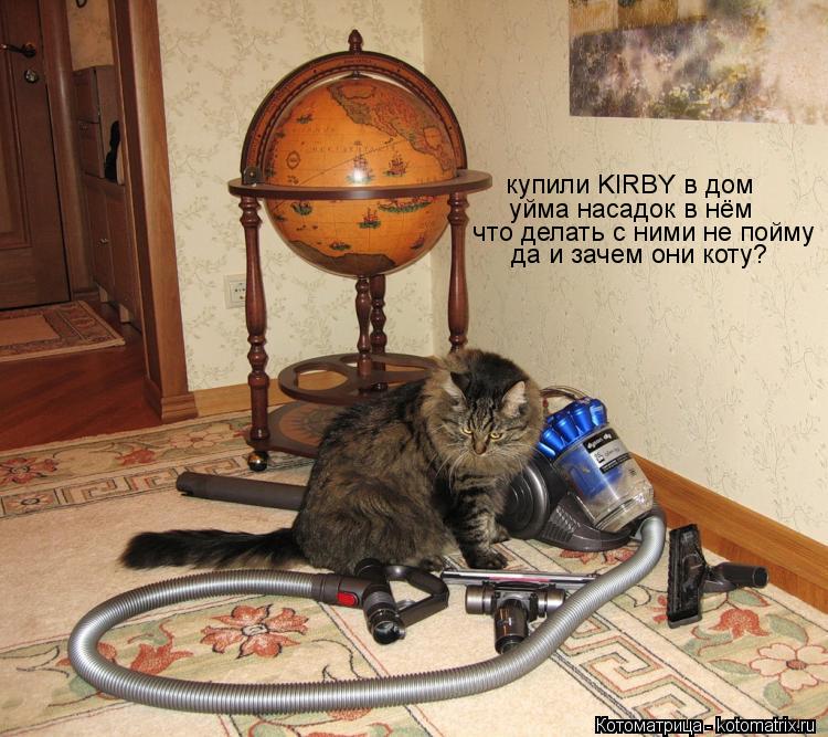 Котоматрица: уйма насадок в нём что делать с ними не пойму купили KIRBY в дом что делать с ними не пойму да и зачем они коту?