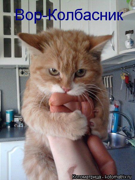 Вор-Колбасник... Котоматрица: Вор-Колбасник