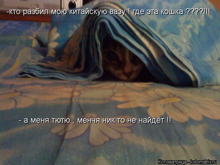 Котоматрица: -кто разбил мою китайскую вазу ! где эта кошка ????!!! - а меня тютю , менчя ник то не найдёт !!