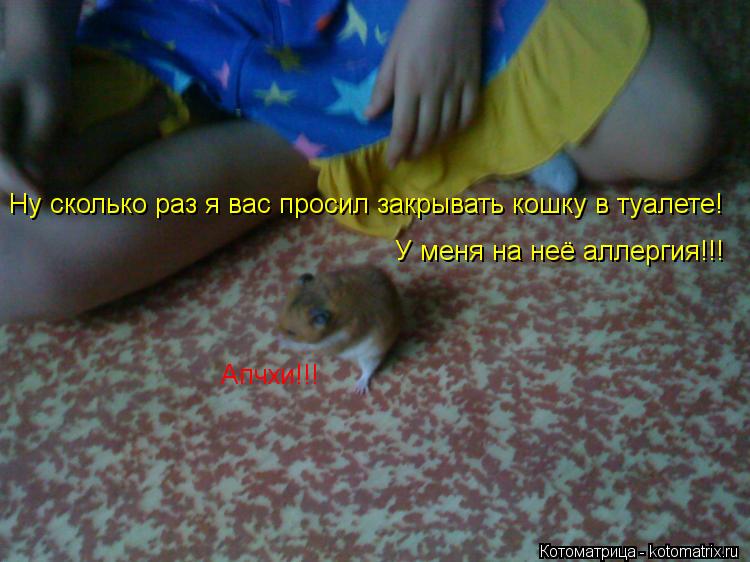 Котоматрица: Апчхи!!! Ну сколько раз я вас просил закрывать кошку в туалете! У меня на неё аллергия!!!