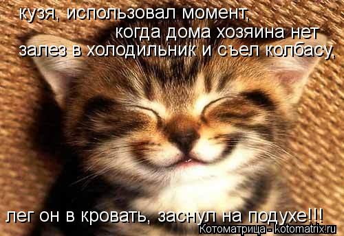кузя, использовал момент, когда дома хозяина нет залез в холодильник и съел колбасу, лег он в кровать... Котоматрица: кузя, использовал момент, когда дома хозяина нет залез в холодильник и съел колбасу, лег он в кровать, заснул на подухе!!!