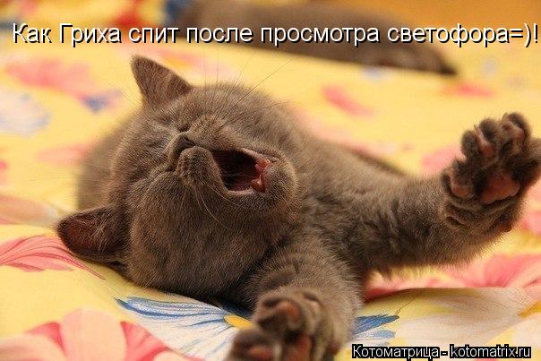 Котоматрица: Как Гриха спит после просмотра светофора=)!!!!!!!!!!!!!!