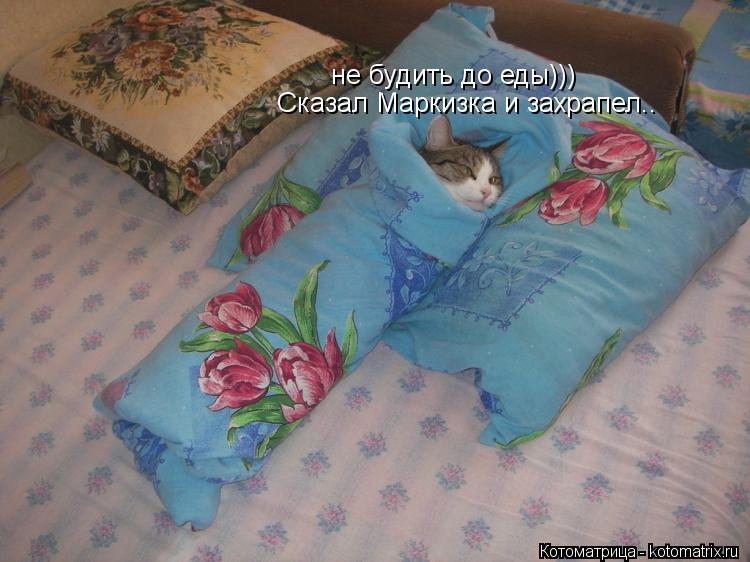 Котоматрица: не будить до еды))) Сказал Маркизка и захрапел..