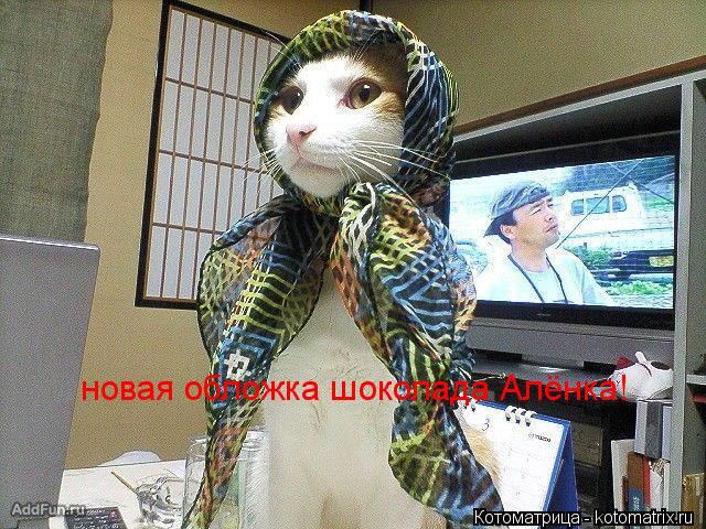 Котоматрица: новая обложка шоколада Алёнка!