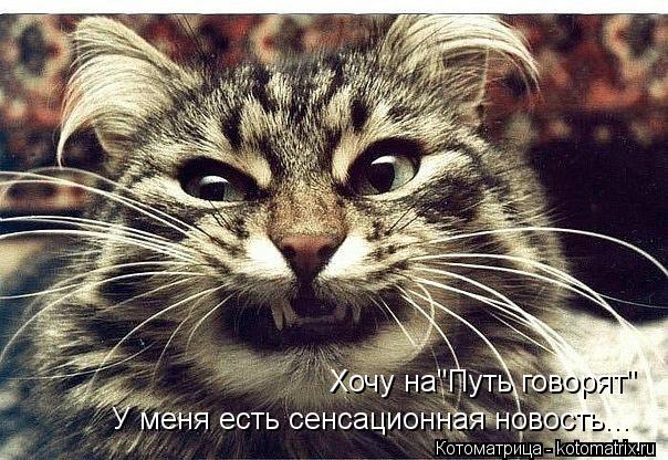 Хочу на"Путь говорят" У меня есть сенсационная новость...... Котоматрица: Хочу на"Путь говорят" У меня есть сенсационная новость...