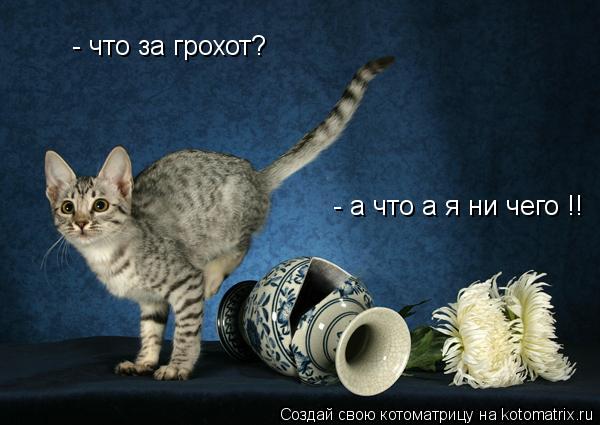 Котоматрица: - что за грохот? - а что а я ни чего !!