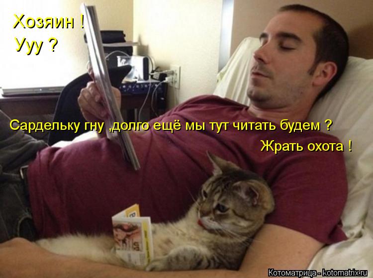 Котоматрица: Хозяин !  Ууу ?   Сардельку гну ,долго ещё мы тут читать будем ?   Жрать охота !