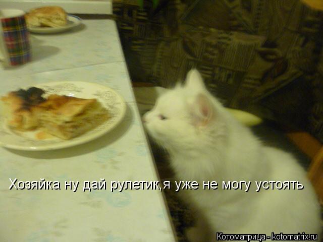 Хозяйка ну дай рулетик,я уже не могу устоять... Котоматрица: Хозяйка ну дай рулетик,я уже не могу устоять