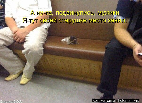 Котоматрица: А ну-ка, подвинулись, мужики. Я тут своей старушке место занял.