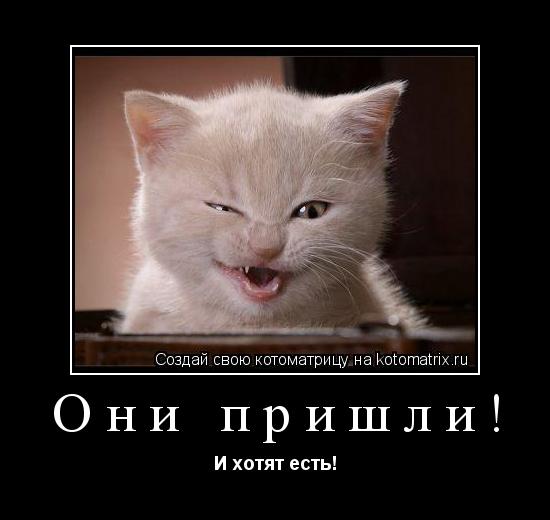 Котоматрица: Они пришли! И хотят есть!