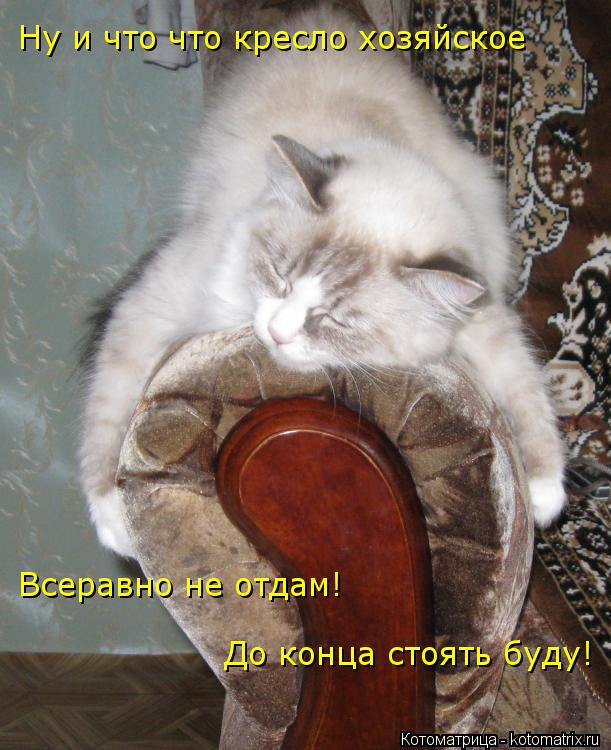 Котоматрица: Ну и что что кресло хозяйское Всеравно не отдам!  До конца стоять буду!