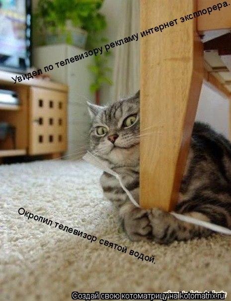 Котоматрица: Увидел по телевизору рекламу интернет эксплорера. Окропил телевизор святой водой.