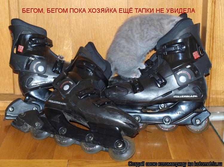 БЕГОМ, БЕГОМ ПОКА ХОЗЯЙКА ЕЩЁ ТАПКИ НЕ УВИДЕЛА... Котоматрица: БЕГОМ, БЕГОМ ПОКА ХОЗЯЙКА ЕЩЁ ТАПКИ НЕ УВИДЕЛА