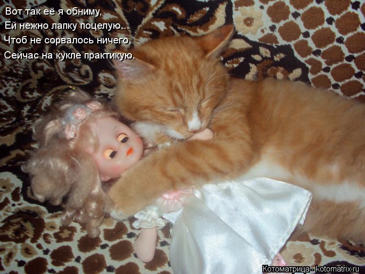 Котоматрица: Вот так её я обниму, Ей нежно лапку поцелую... Чтоб не сорвалось ничего, Сейчас на кукле практикую.