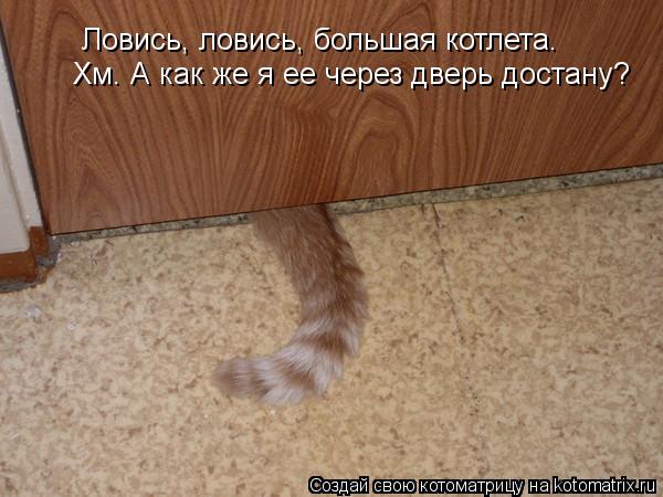 Котоматрица: Ловись, ловись, большая котлета. Хм. А как же я ее через дверь достану?