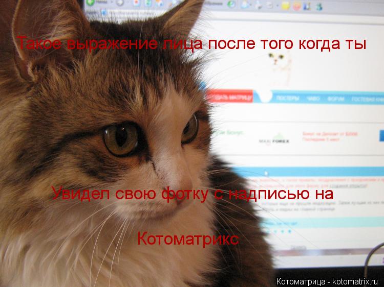 Котоматрица: Такое выражение лица после того когда ты Увидел свою фотку с надписью на  Котоматрикс
