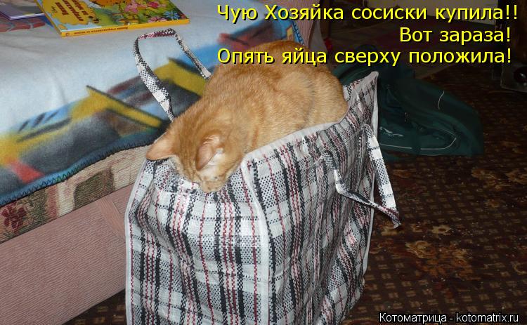 Чую Хозяйка сосиски купила!! Вот зараза! Опять яйца сверху положила!... Котоматрица: Чую Хозяйка сосиски купила!! Вот зараза! Опять яйца сверху положила!
