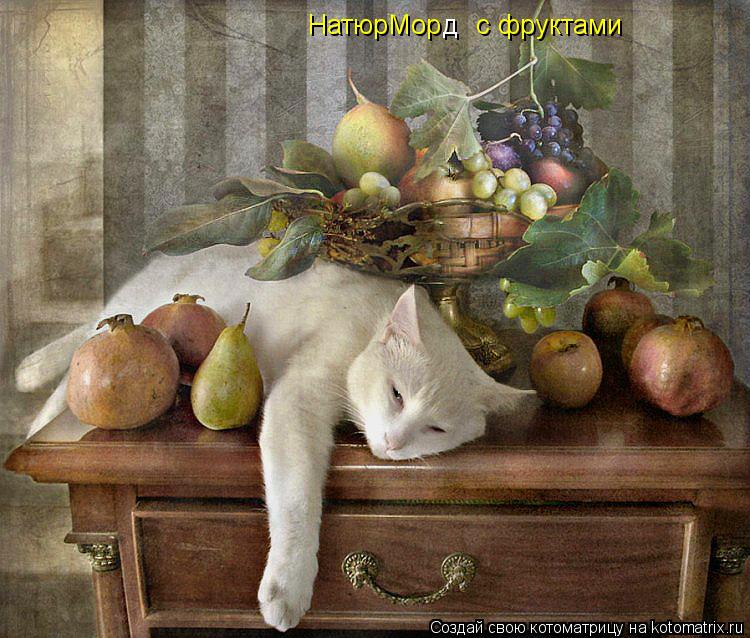 НатюрМор д с фруктами... Котоматрица: НатюрМор д с фруктами