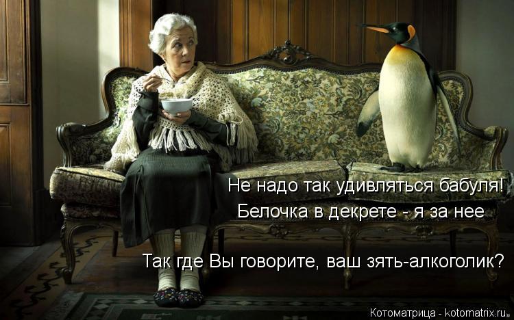 Не надо так удивляться бабуля! Белочка в декрете - я за нее Так где Вы говорите, ваш зять-алкоголик?... Котоматрица: Не надо так удивляться бабуля! Белочка в декрете - я за нее Так где Вы говорите, ваш зять-алкоголик?